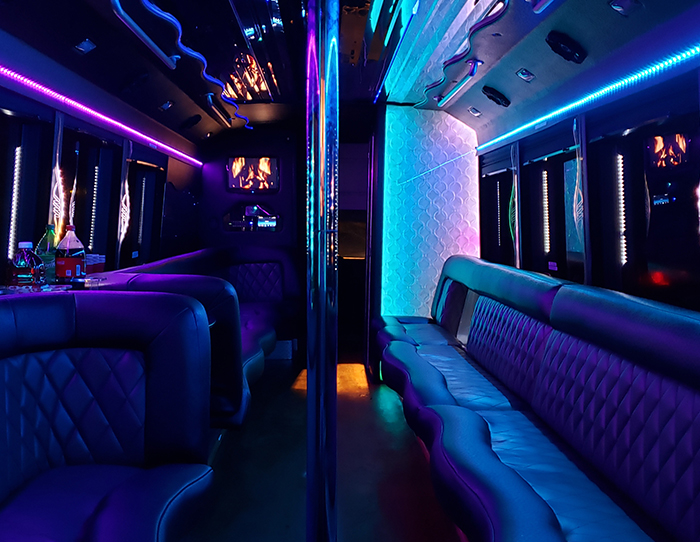 Tampa limousine